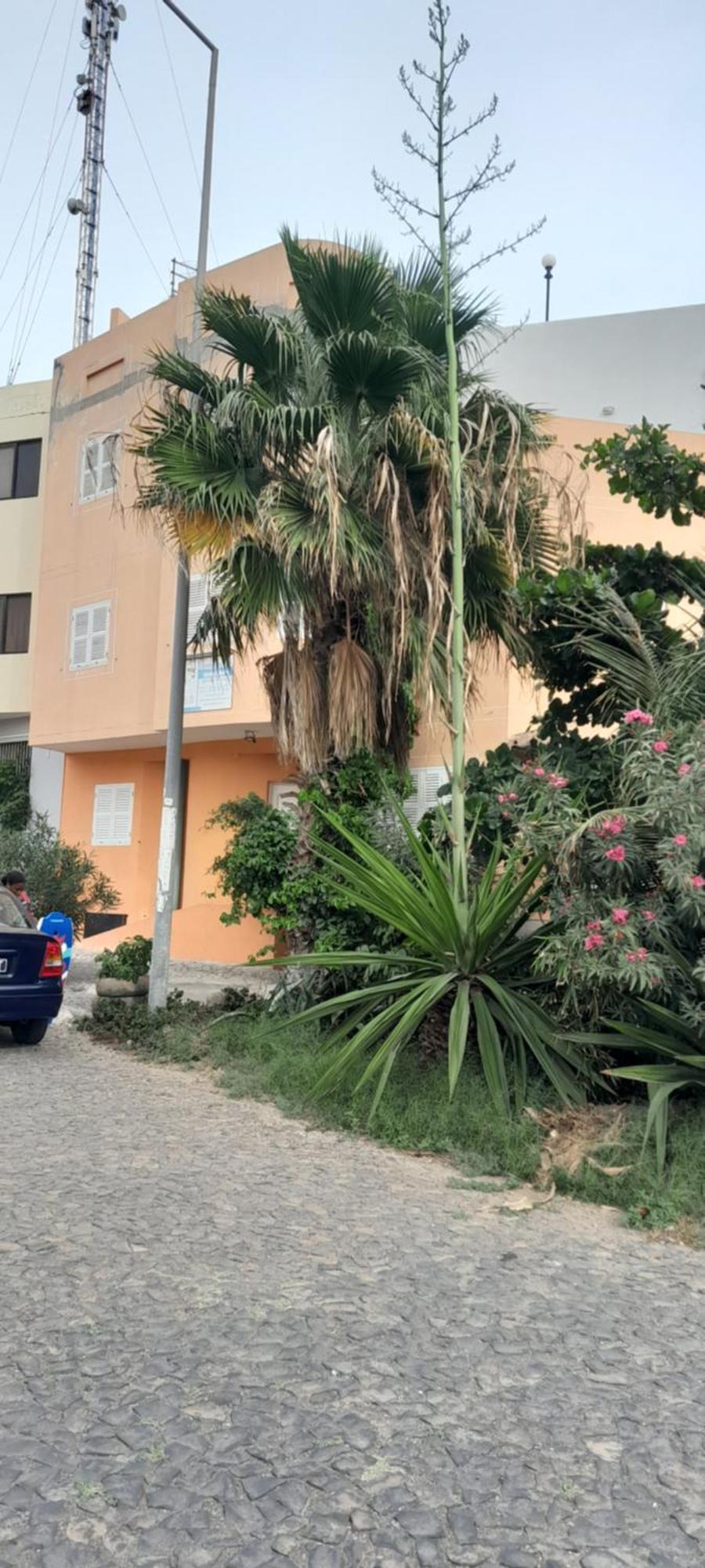 Laginha Beach Guest House Mindelo Eksteriør billede